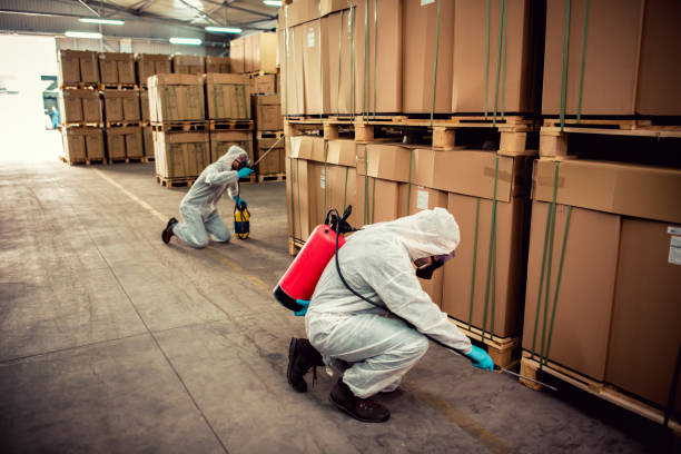 Reliable Portsmouth, VA Pest Control Solutions