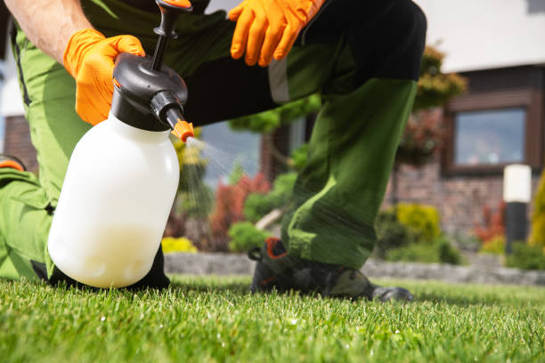 Best Emergency Pest Control  in Portsmouth, VA