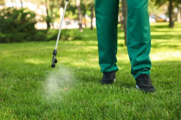 Best Best Pest Control Companies  in Portsmouth, VA