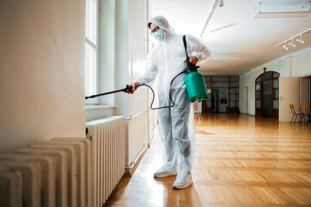 Best Local Pest Control Services  in Portsmouth, VA