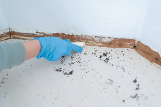 Best Pest Inspection Near Me  in Portsmouth, VA